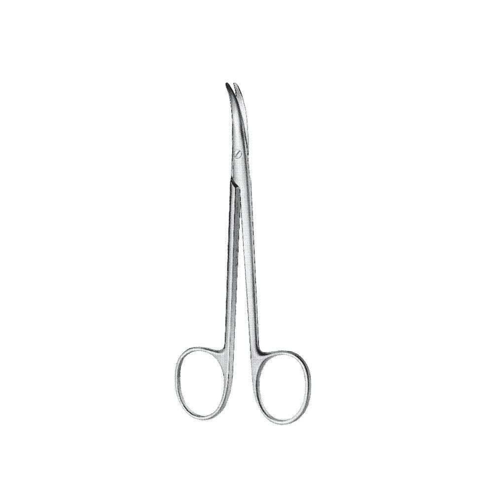 Delicate Dissecting Scissor
