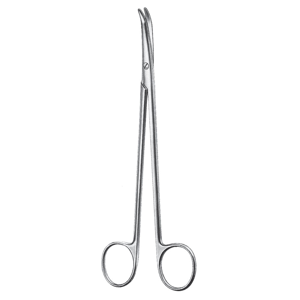 Delicate Dissecting Scissor