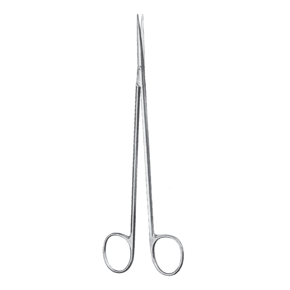 Delicate Dissecting Scissor