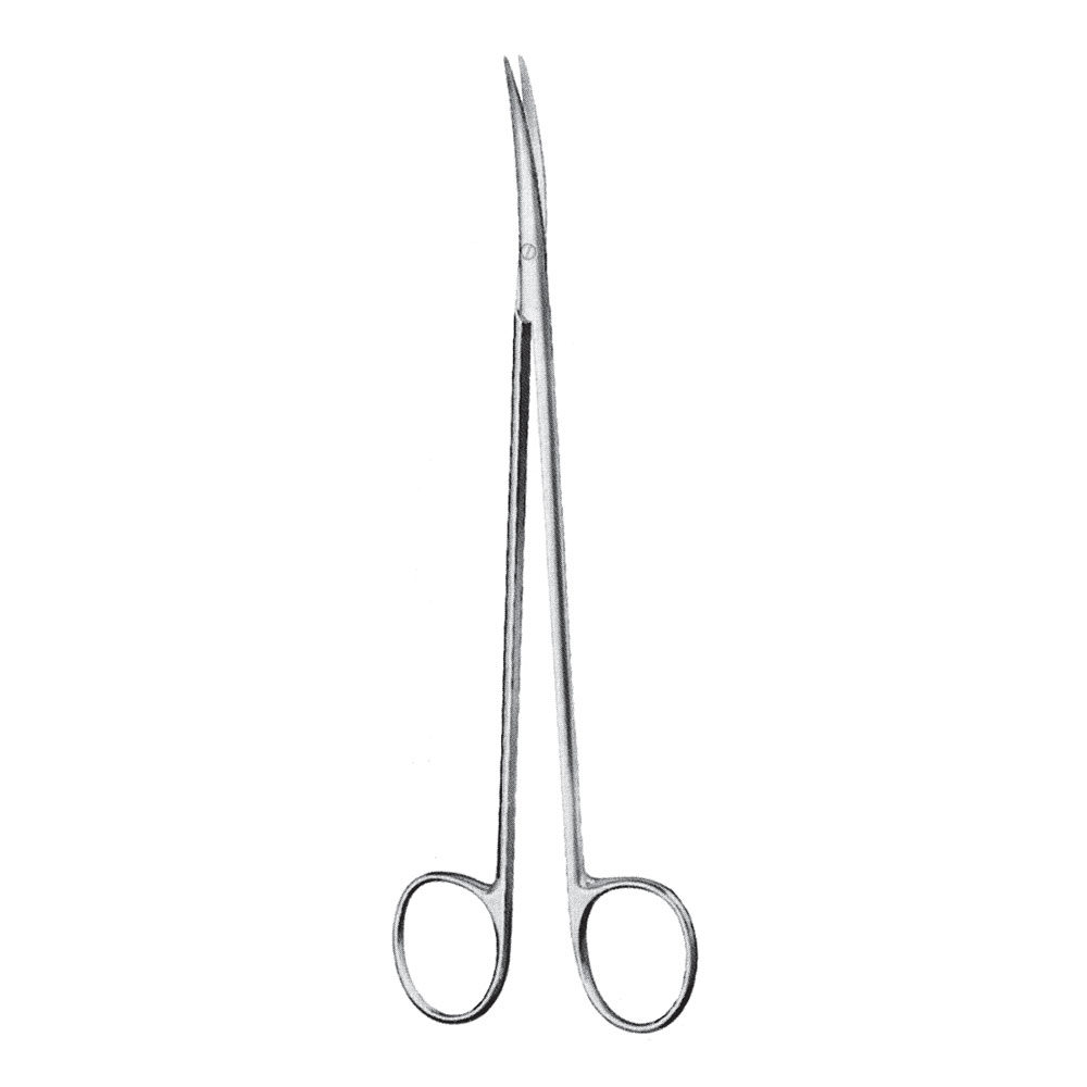 Delicate Dissecting Scissor