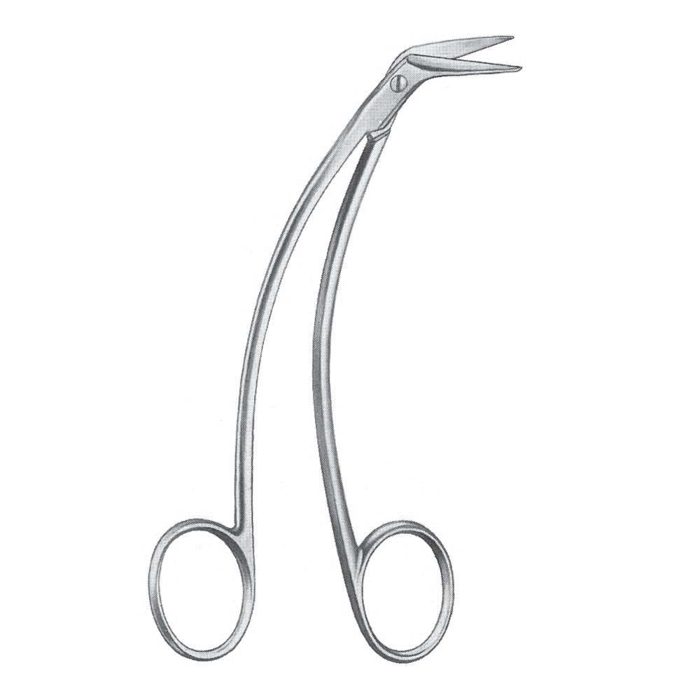 Dissecting Scissor