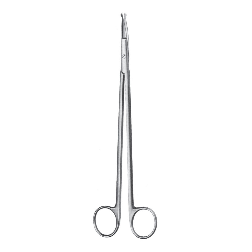 Dissecting Scissor