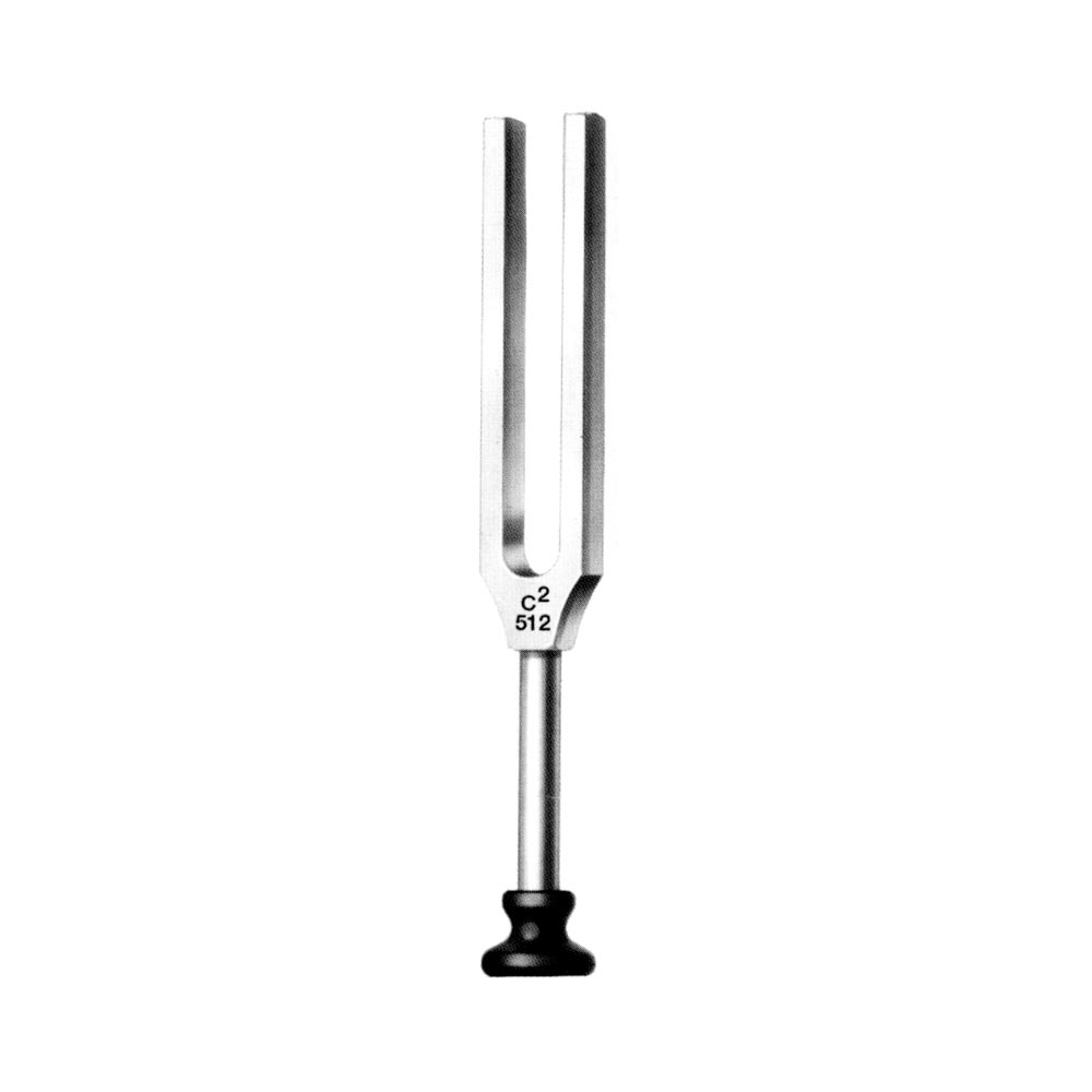 Tuning Fork