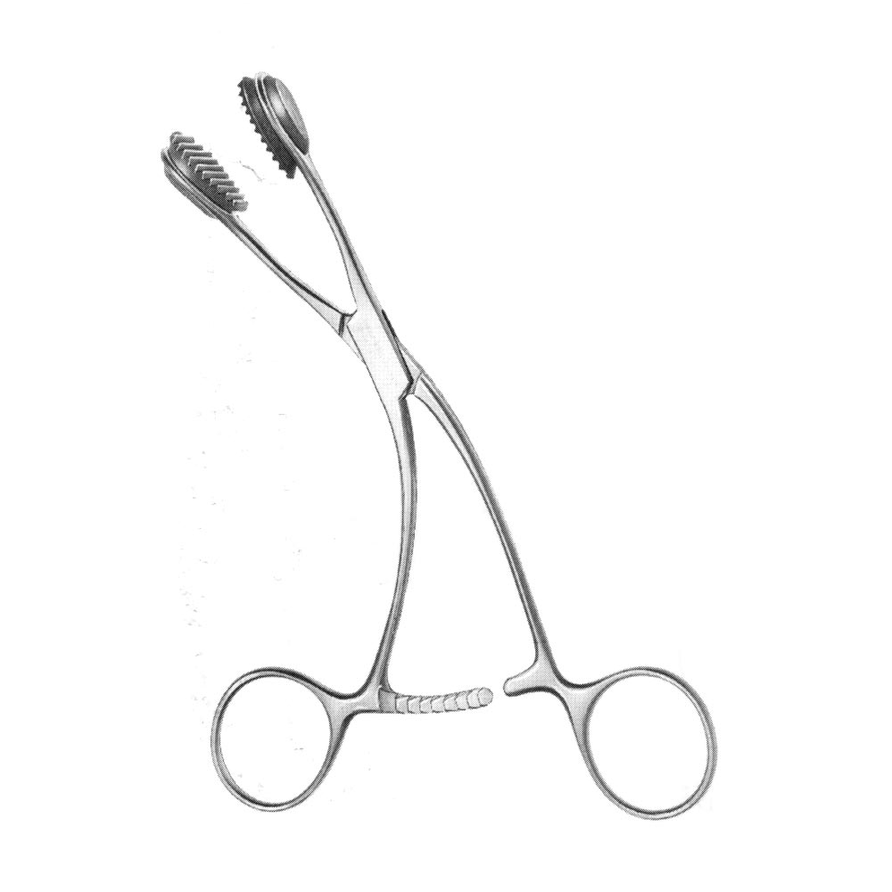 Tongue Holding Forcep