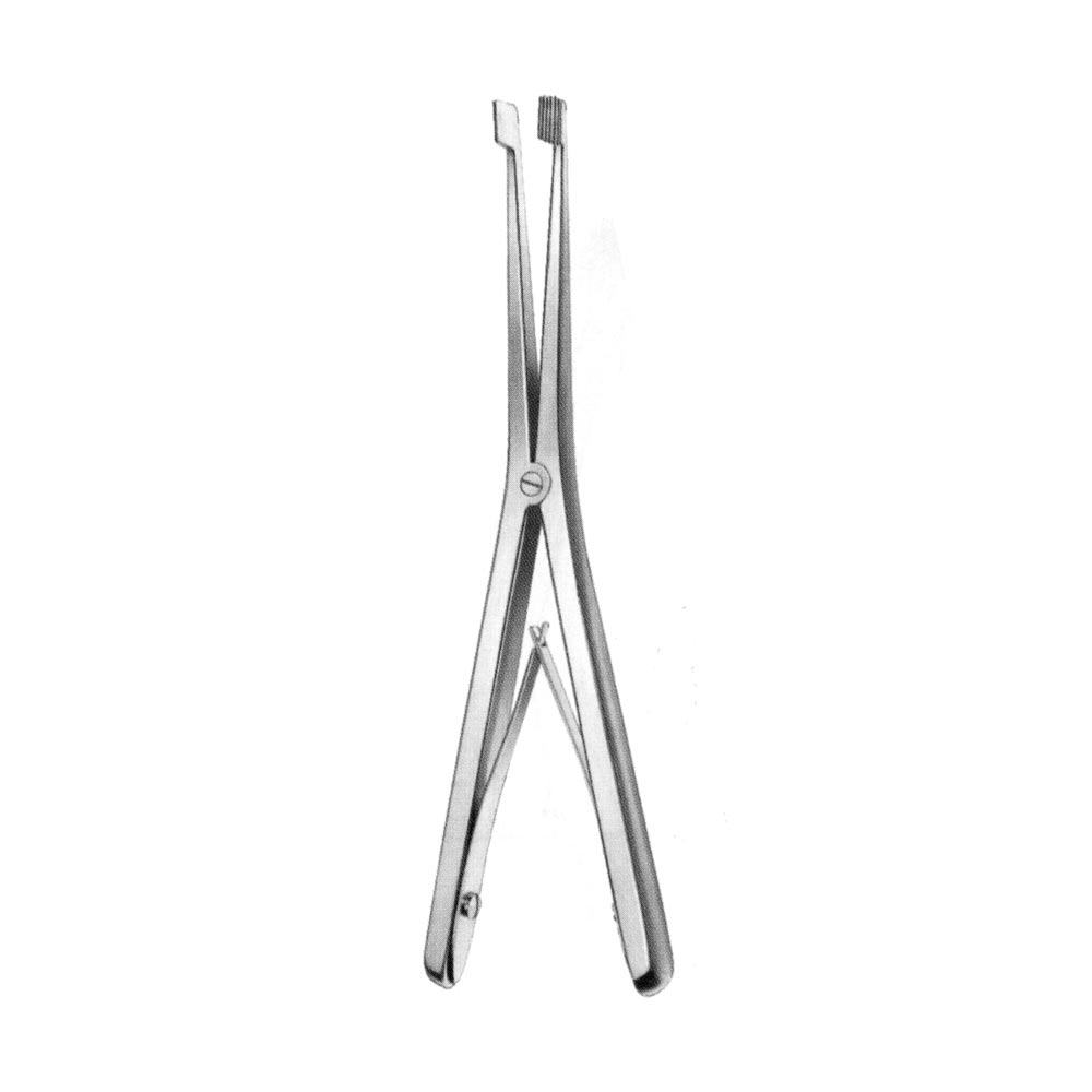 Palatal Expander