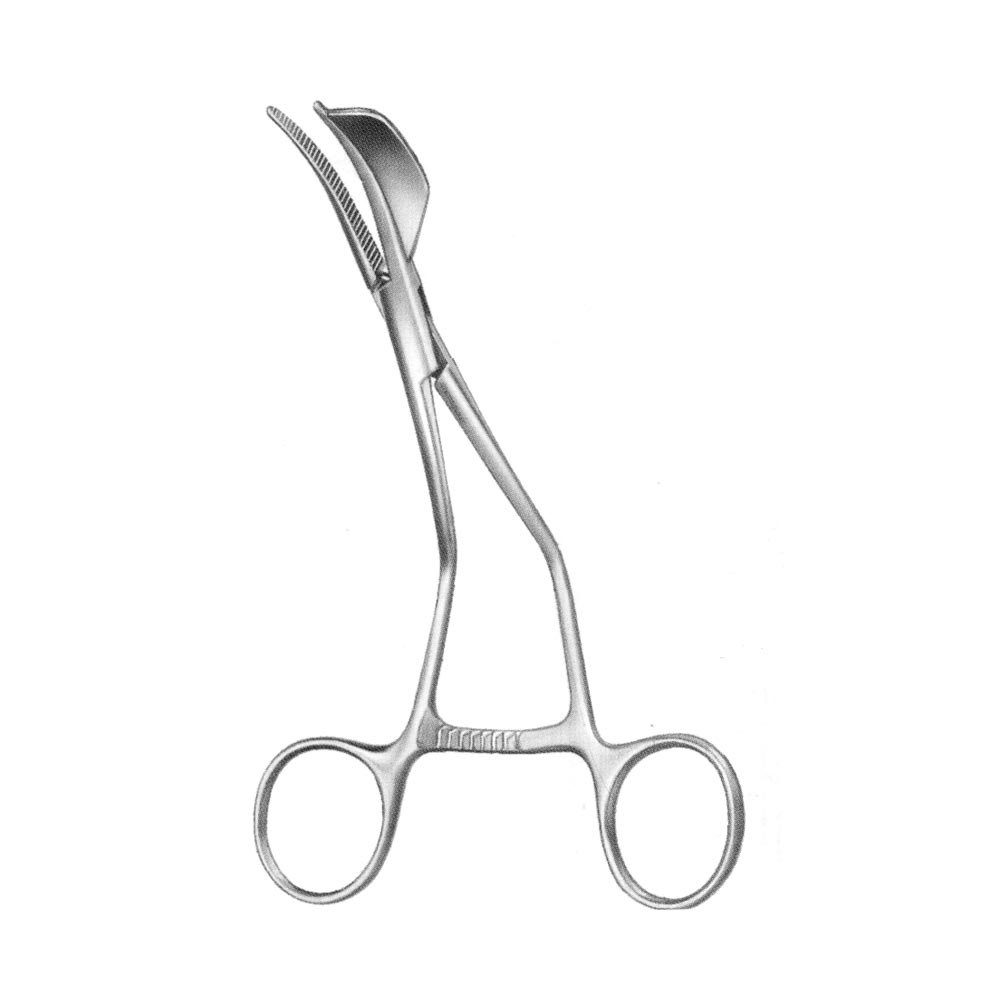 Ramus Clamp