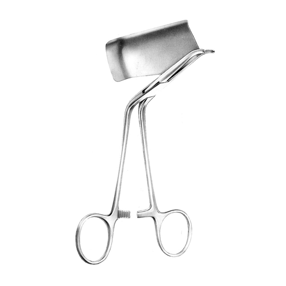 Ramus Clamp