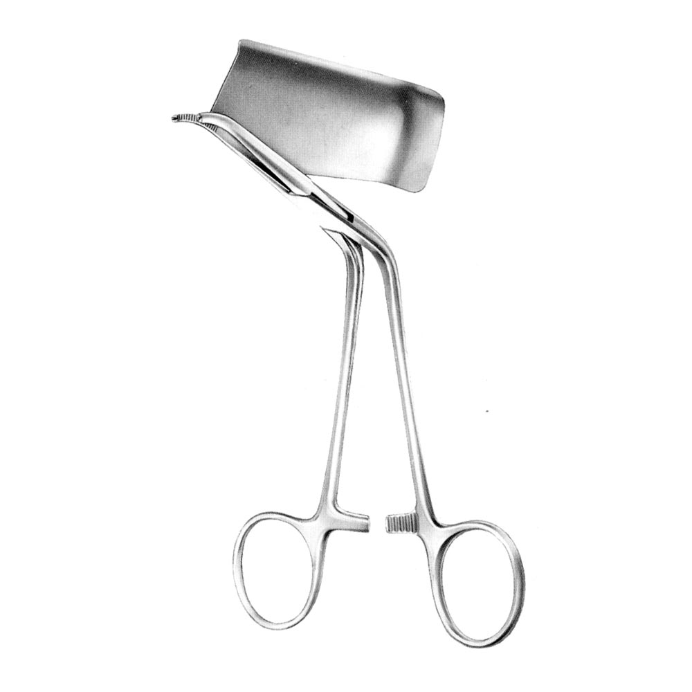 Ramus Clamp