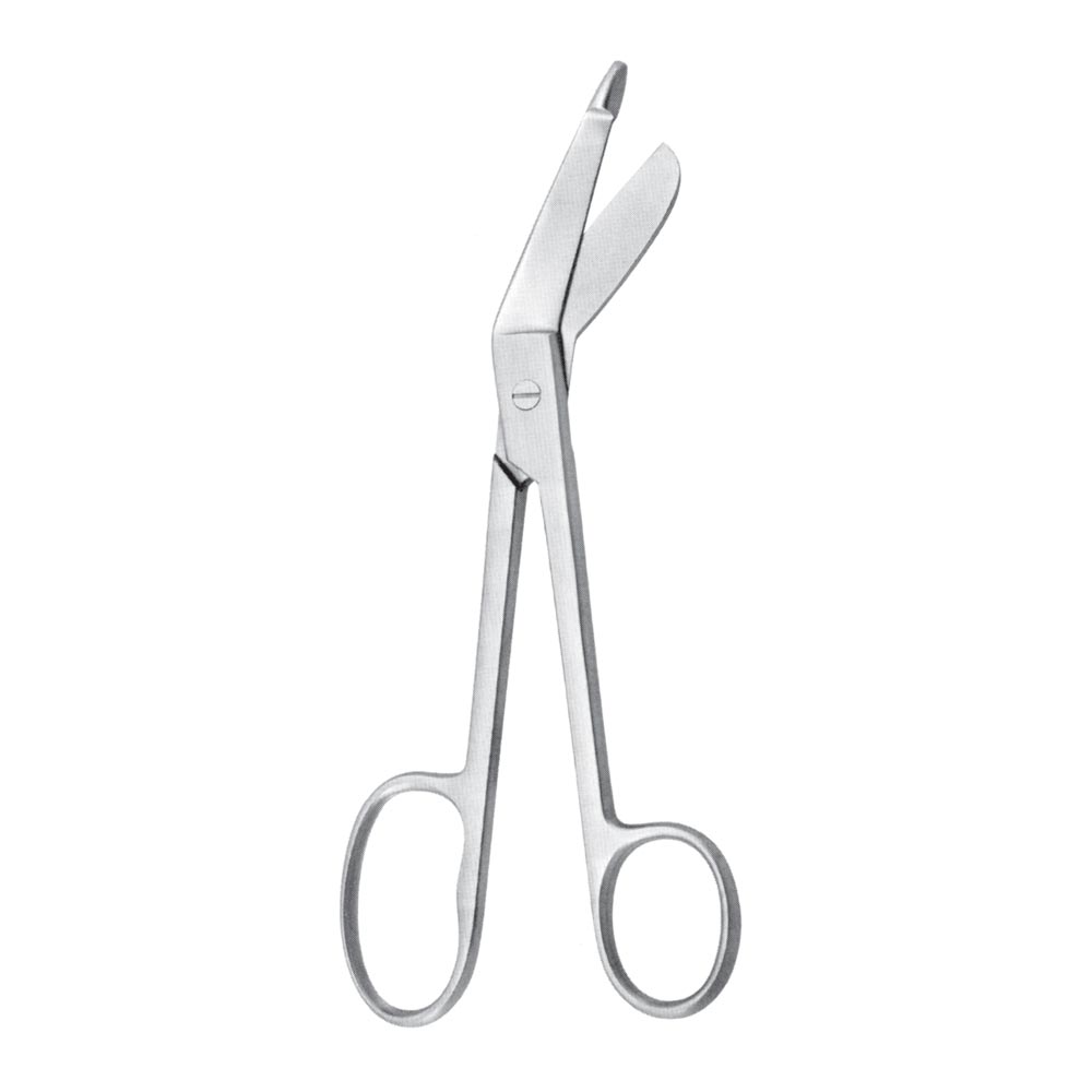 Plaster Shears