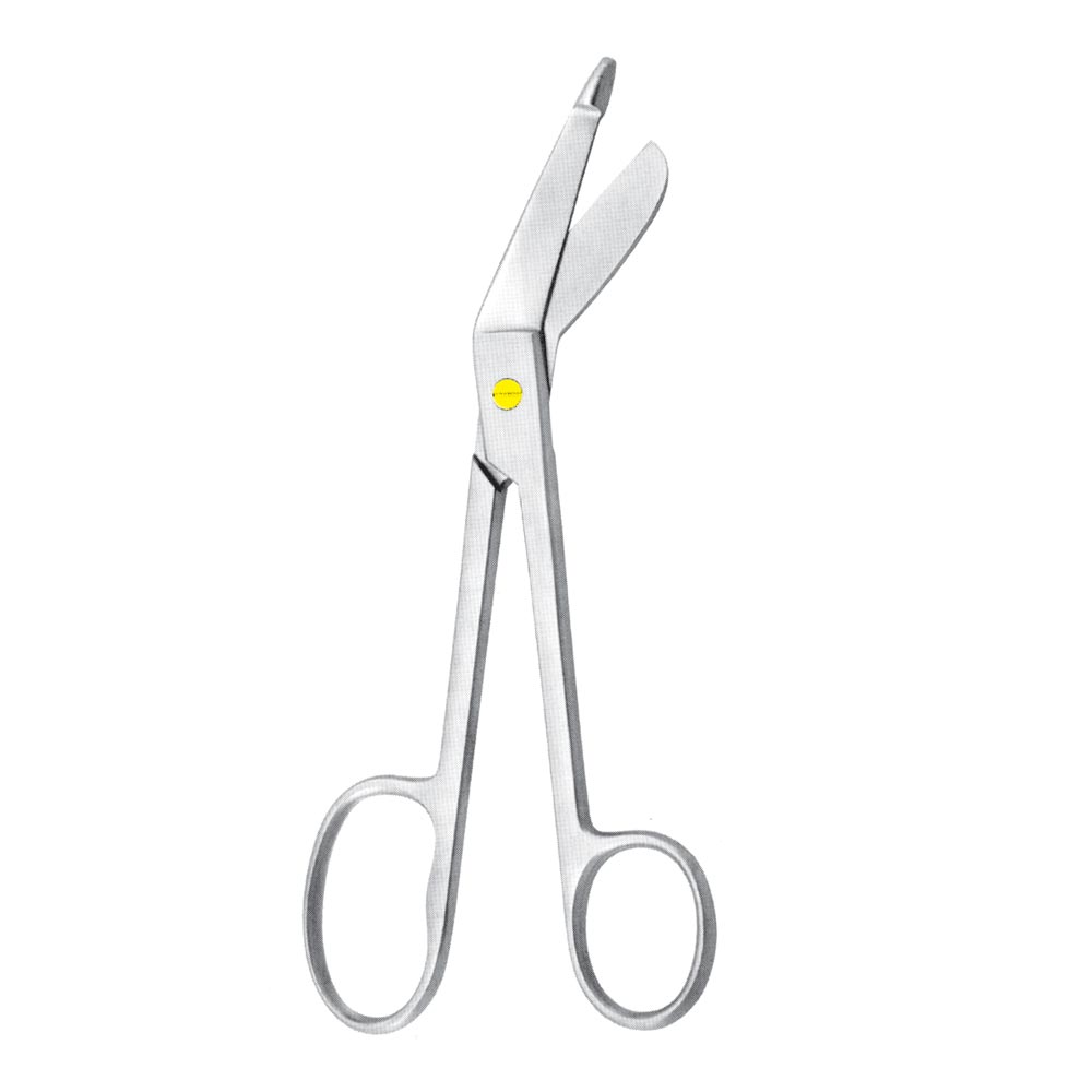 Plaster Shears
