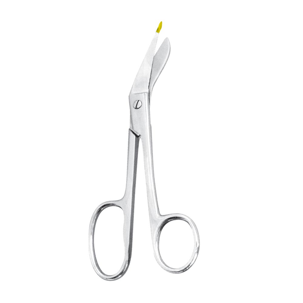 Plaster Shears