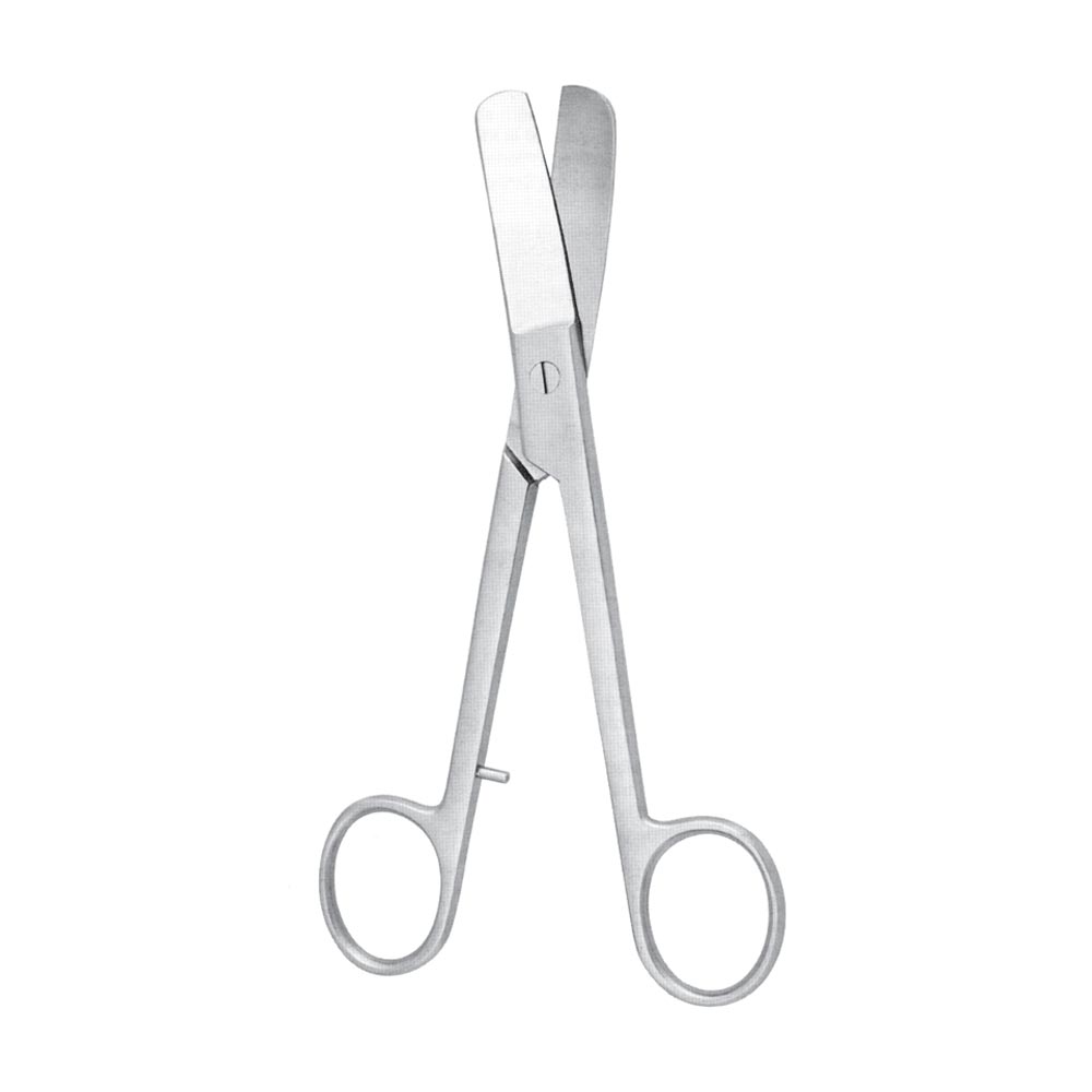 Plaster Shears