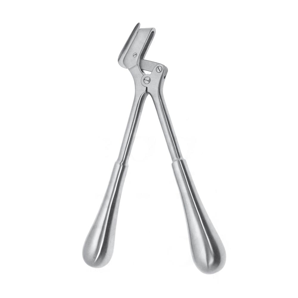 Plaster Shears