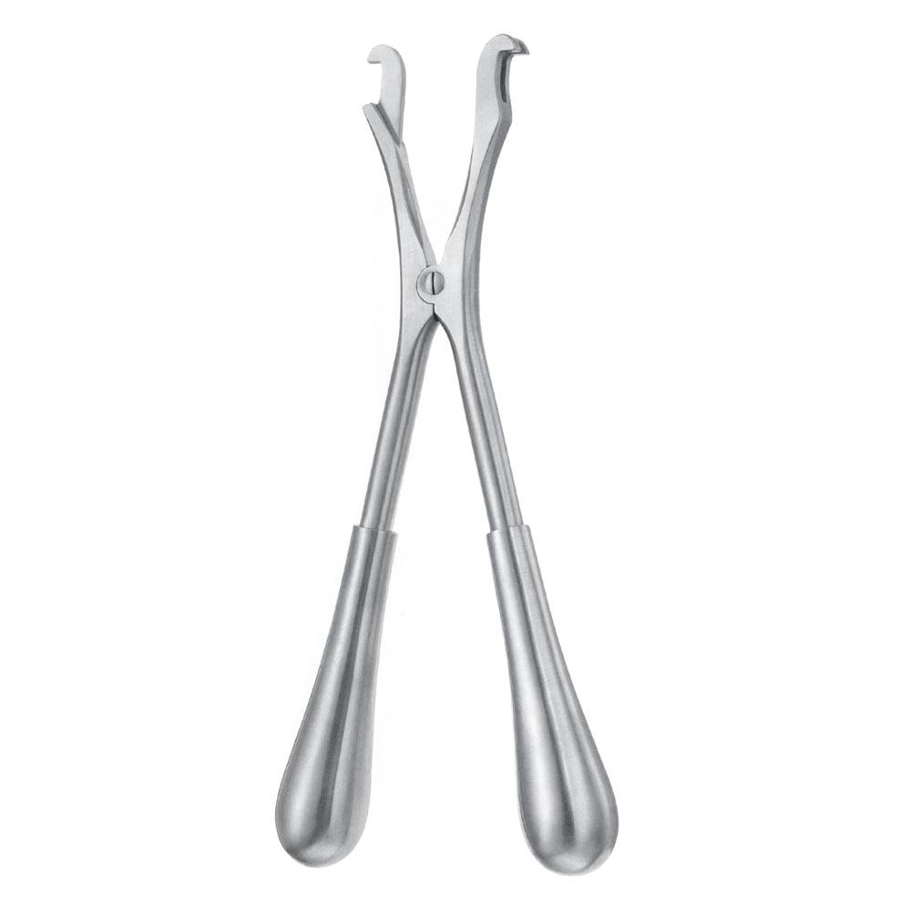 Plaster Shears