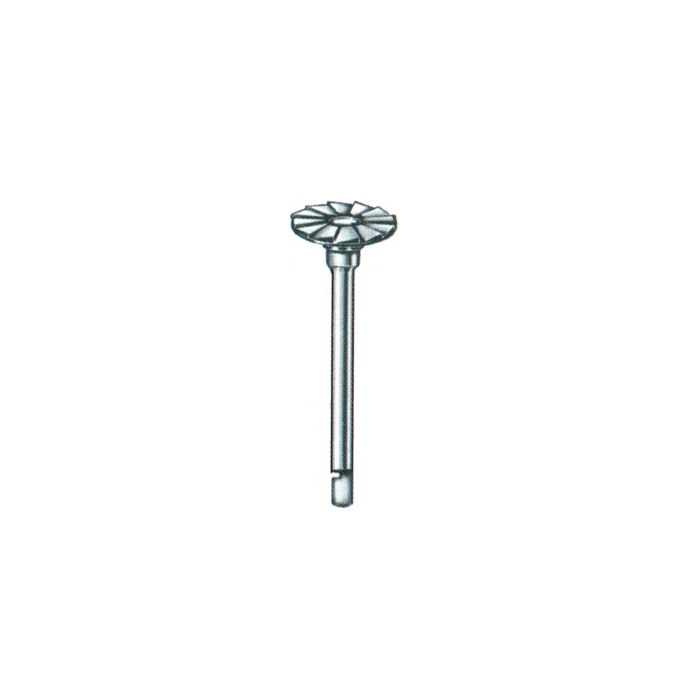 Burr Pointed Cutter