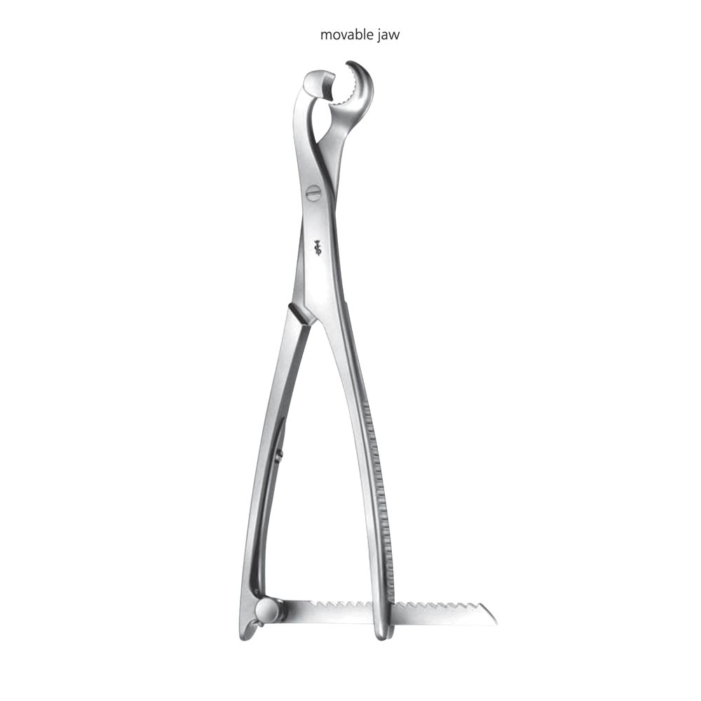 Lambotte Bone Rongeur
