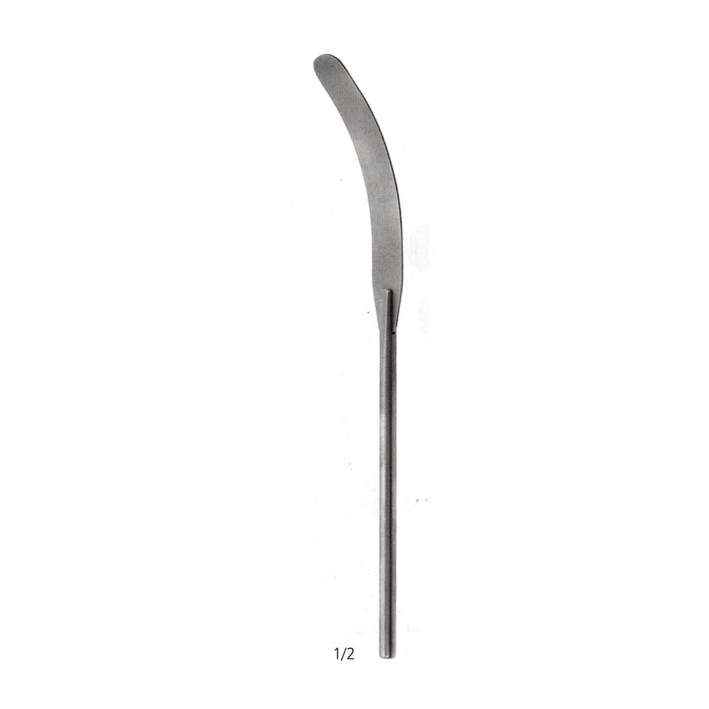Brain Spatula