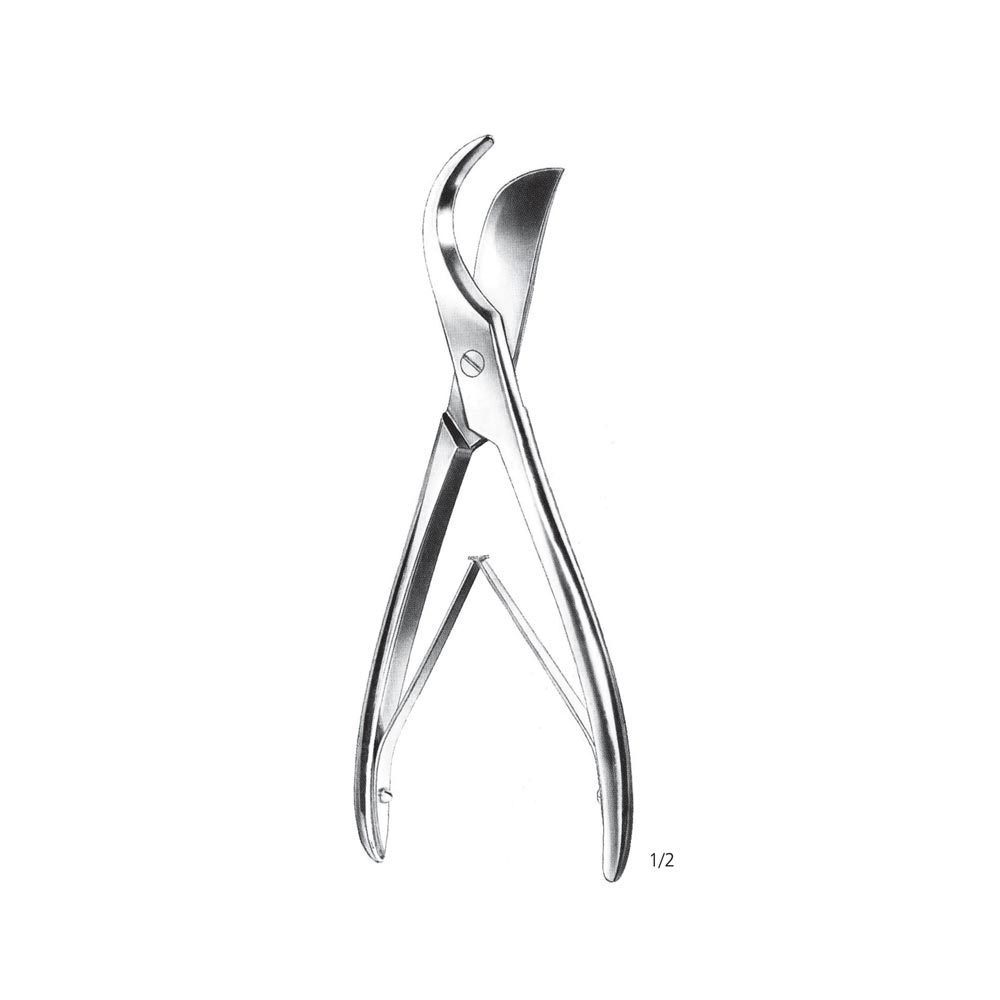 Rib Shear