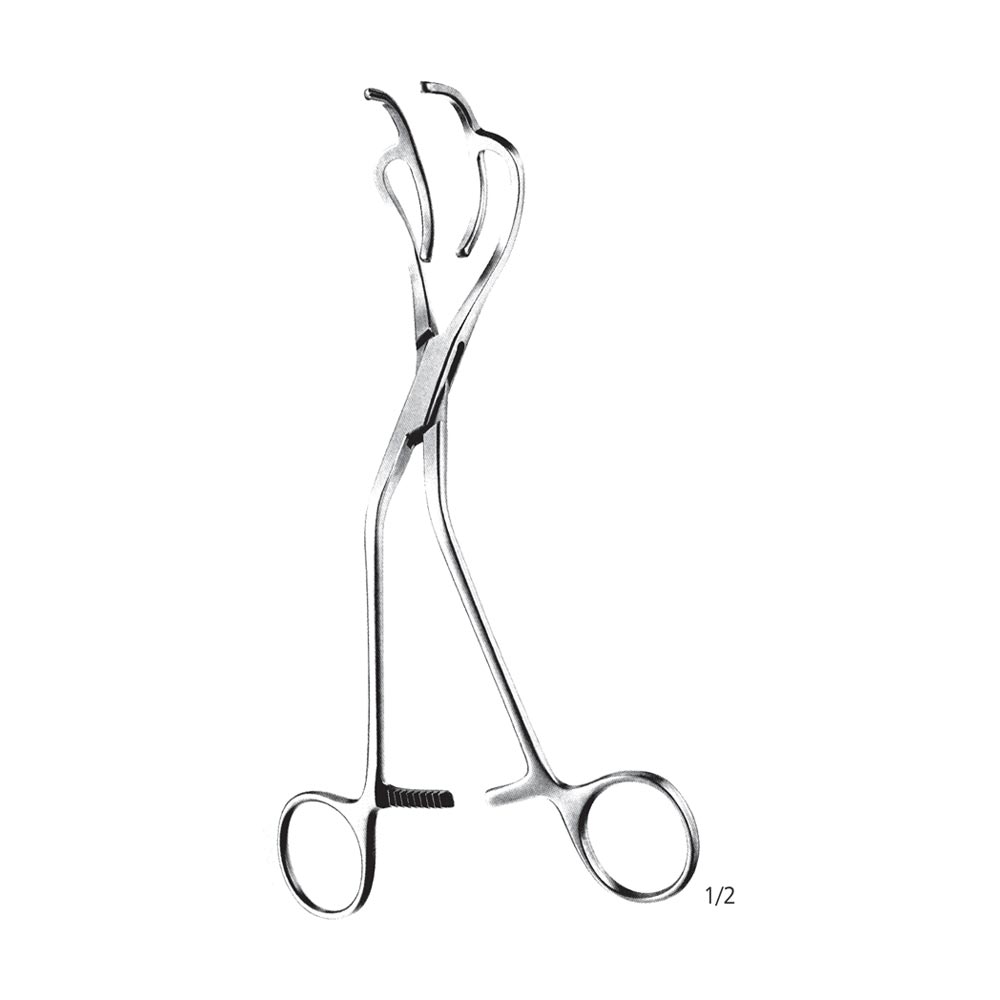 Atraumatic Vascular Clamp