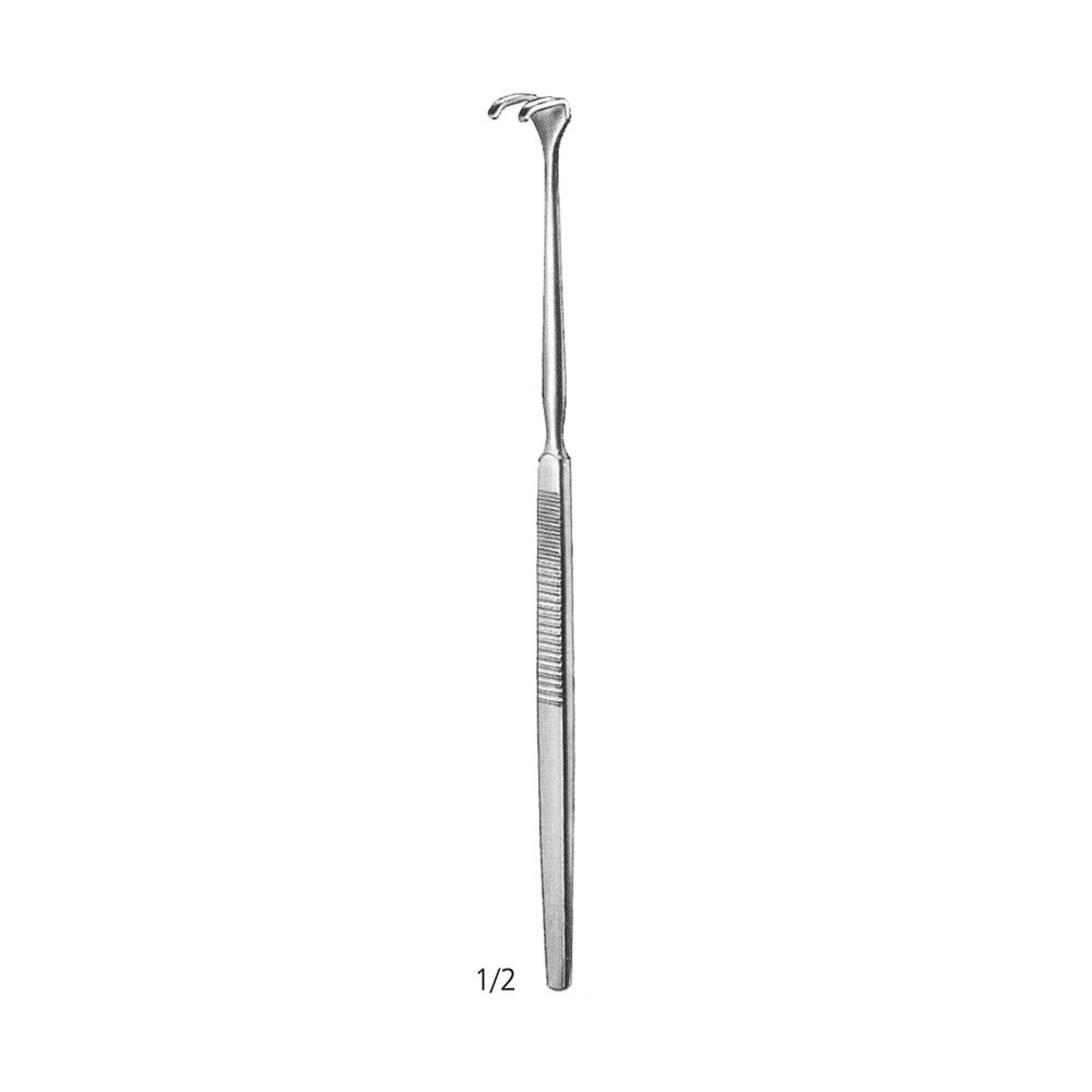 Hooklet