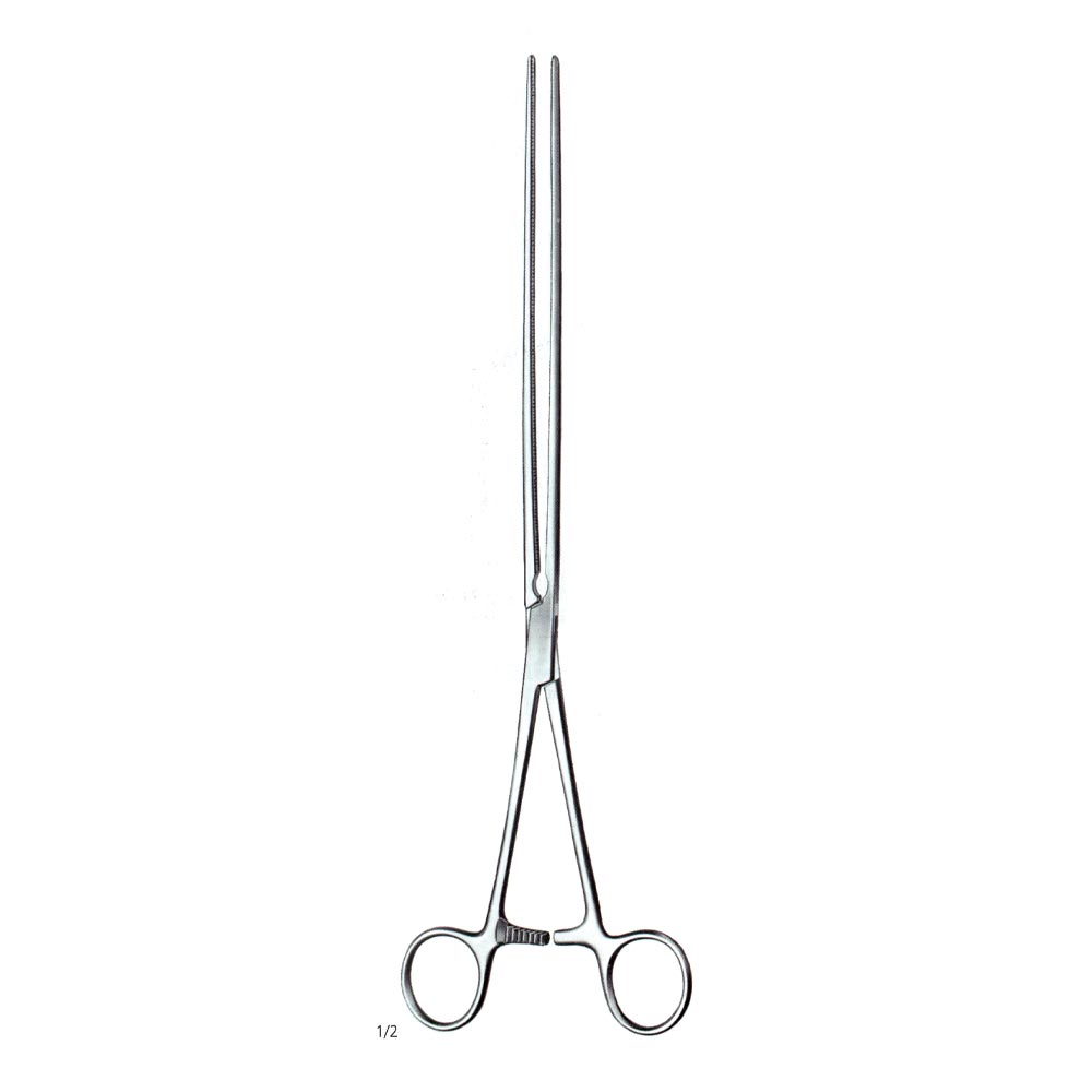 Scudder Intestinal Grasping Forcep