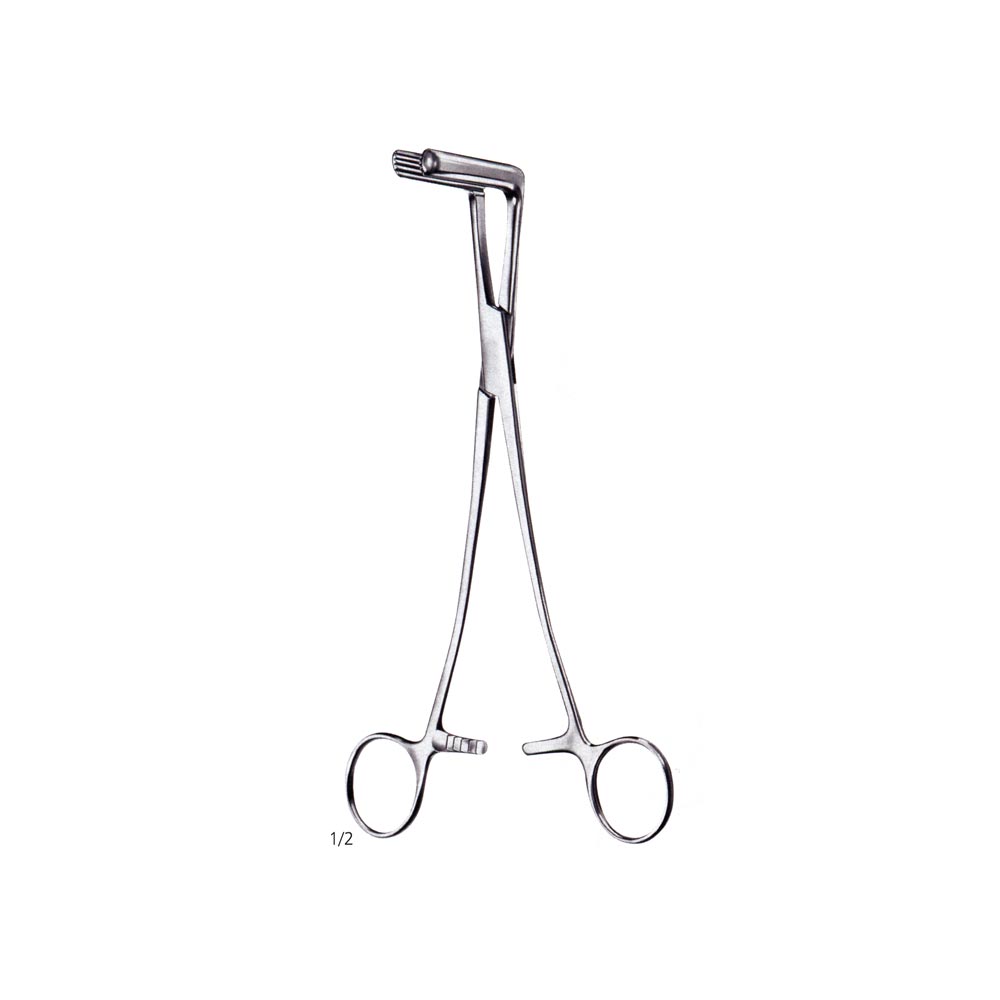 Kidney Pedicle Clamp
