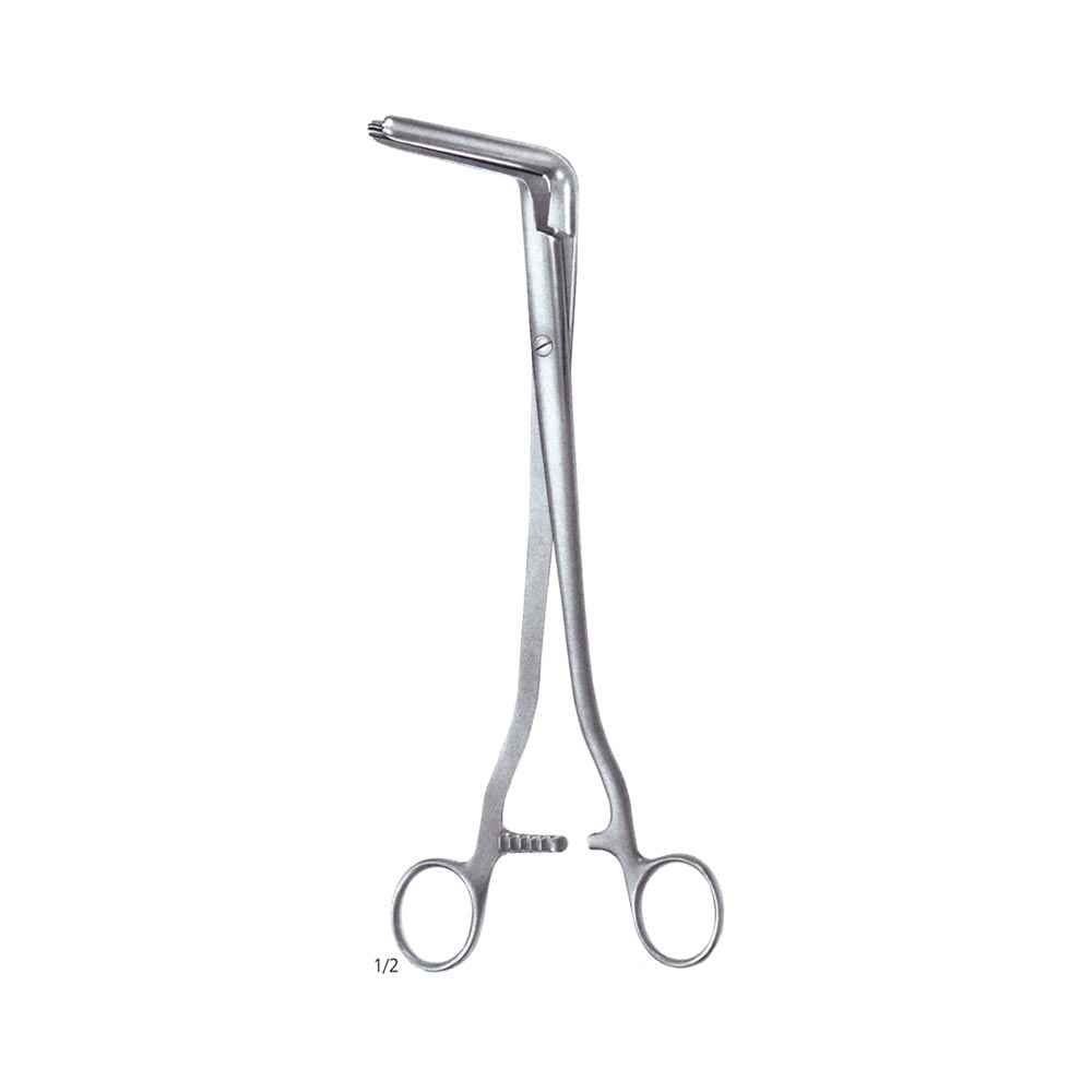 Kidney Pedicle Clamp