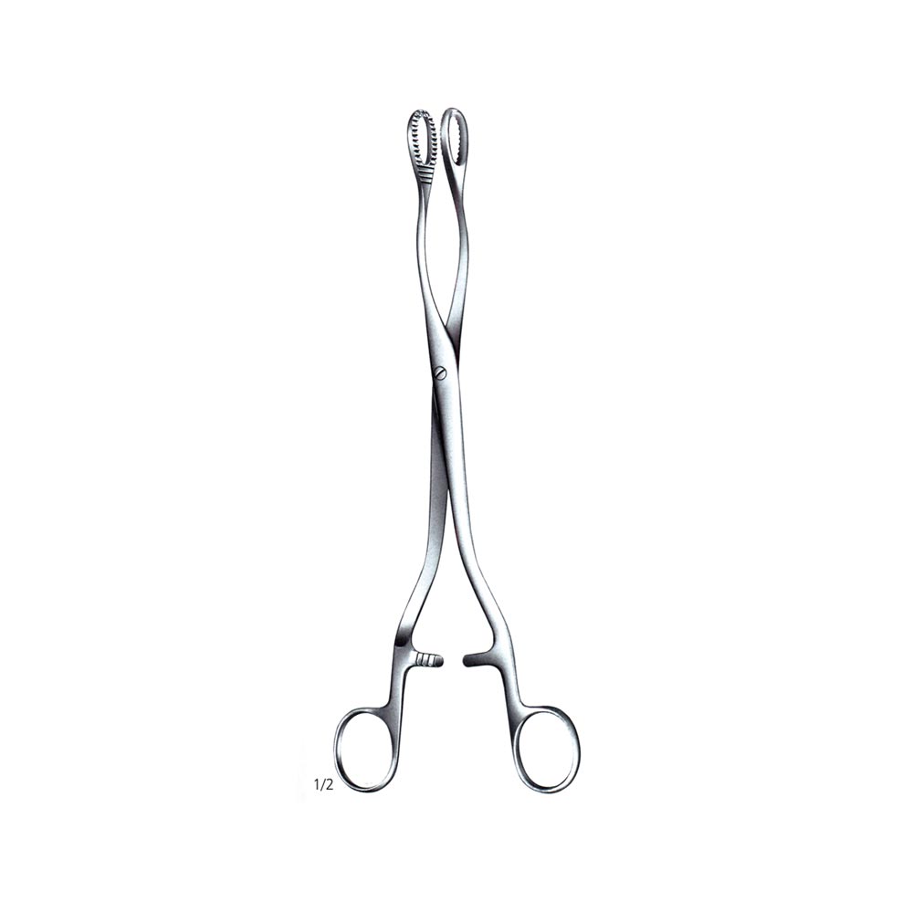 Gall Bladder Forcep