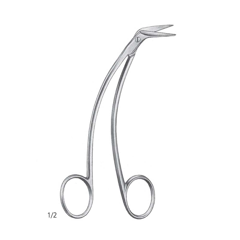 Favaloro Dissecting Scissor