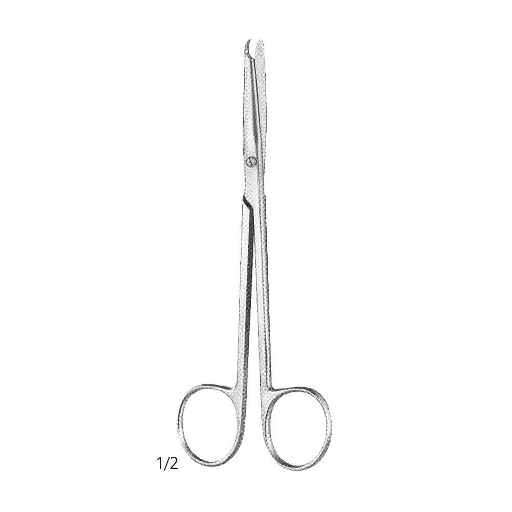 Buck Dissecting Scissor