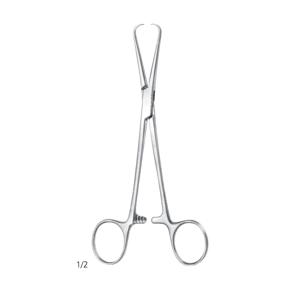 Bernhard Towel Clamp