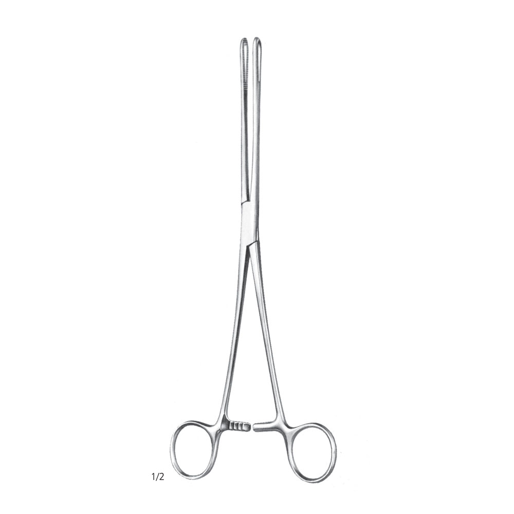 Rampley Sponge Forcep