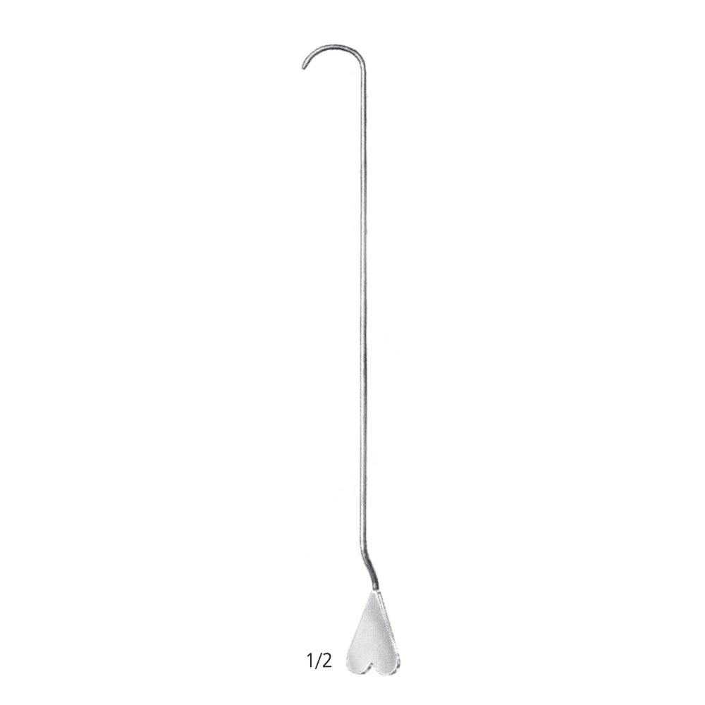 Lockhart-Mummery Grooved Directors Fistula Probe