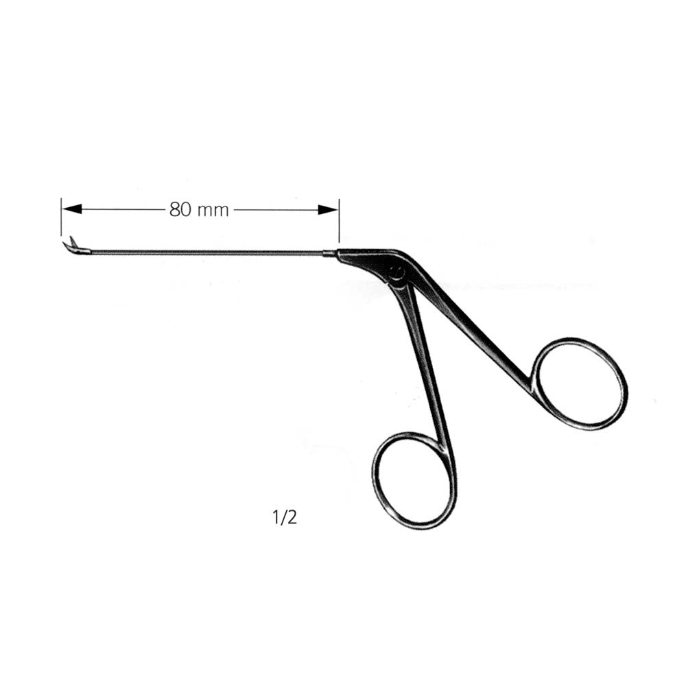 Wullstein Micro Ear Forcep