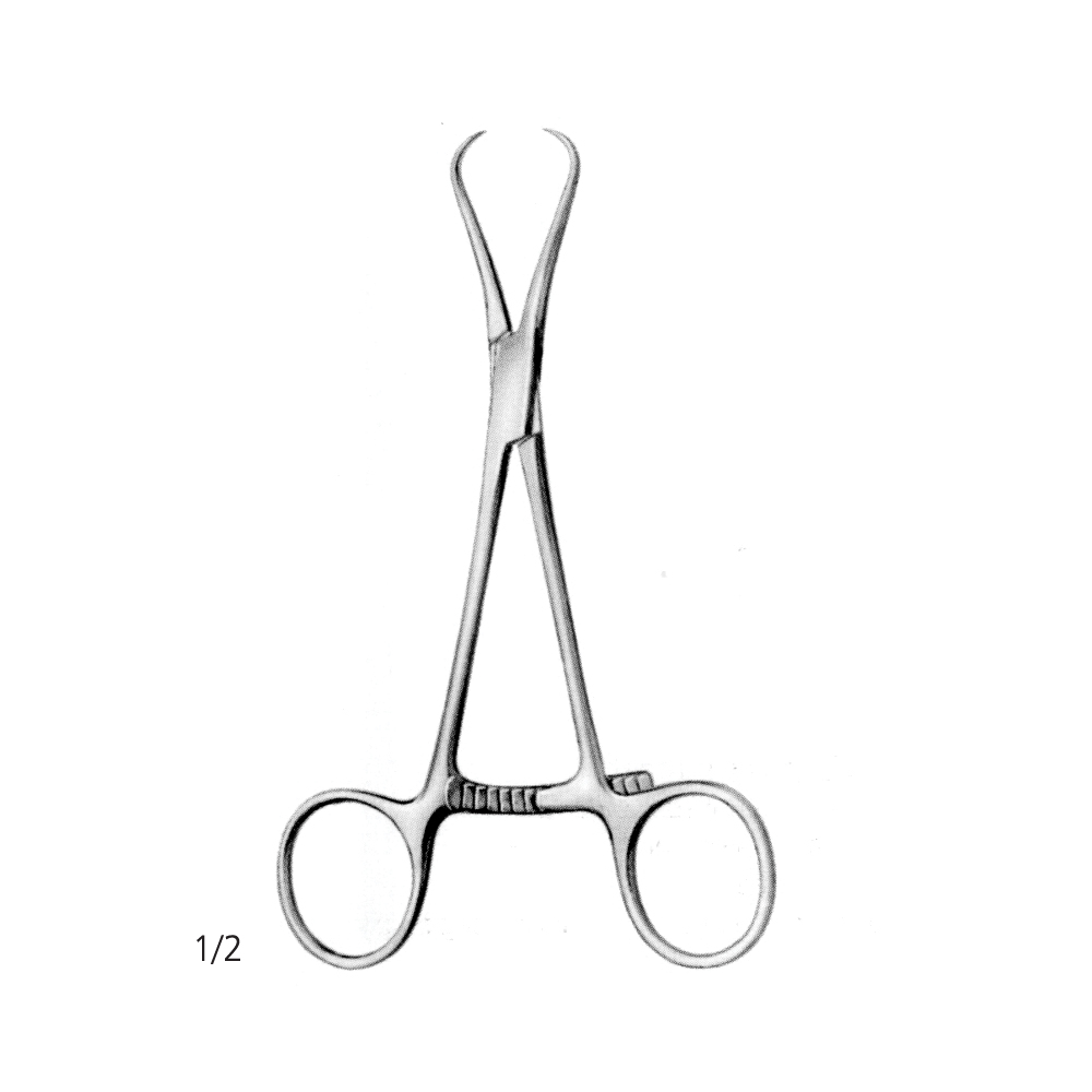 Steinhauser Bone Holding Forcep