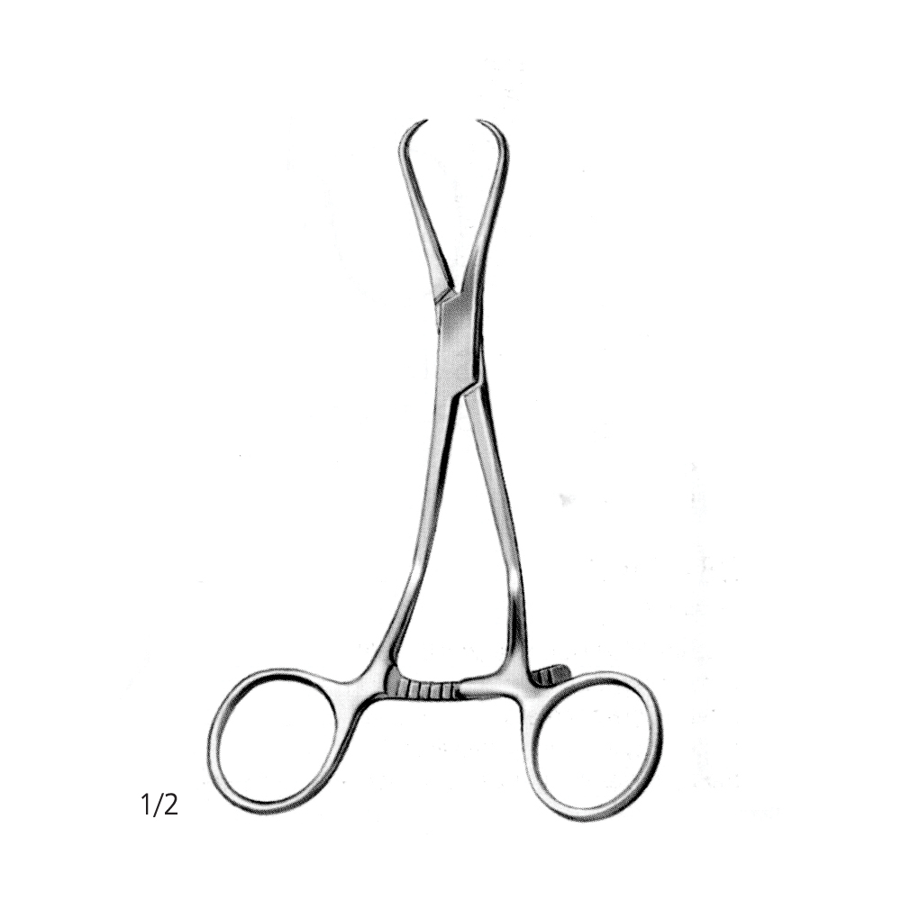 Steinhauser Bone Holding Forcep