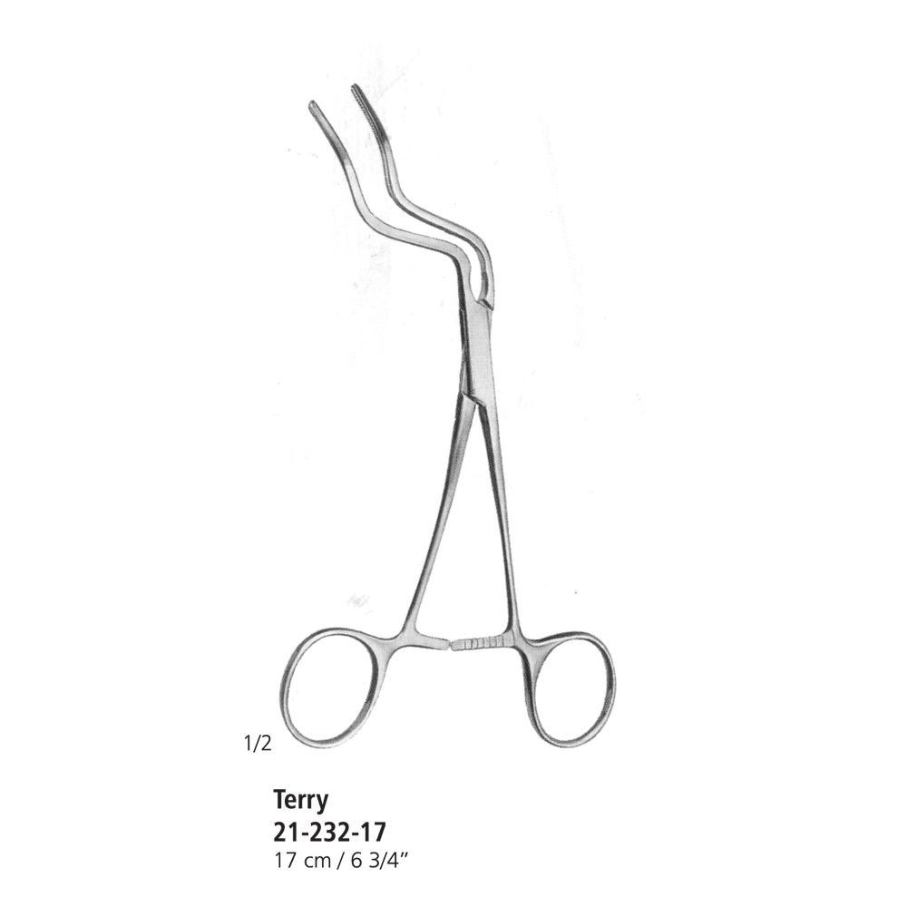 Mylohyoid Muscle Clamp