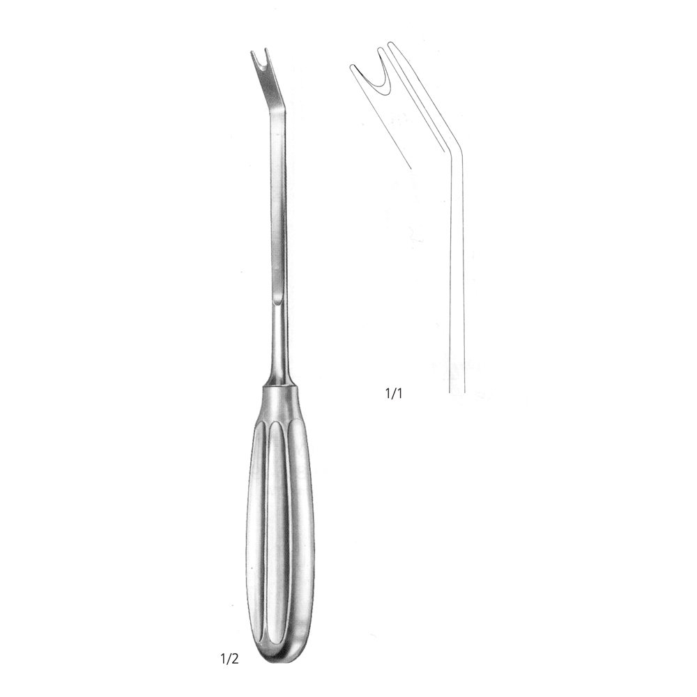 Terry Ramus Retractor