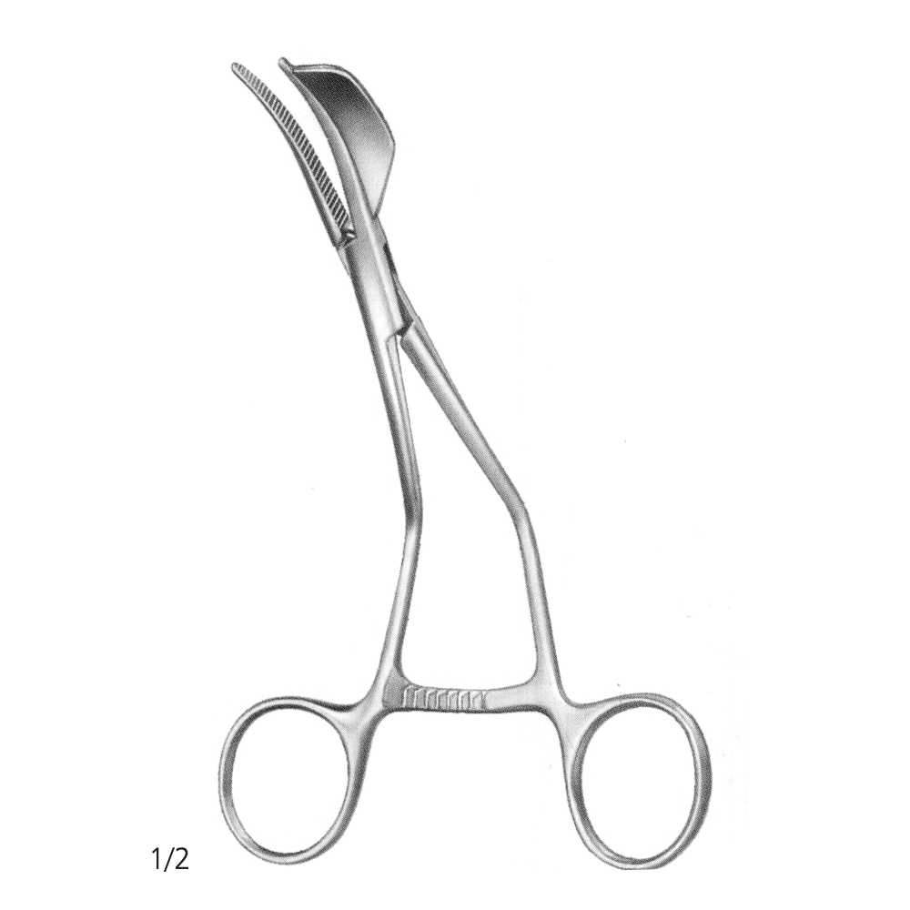 Steinhauser Ramus Clamp