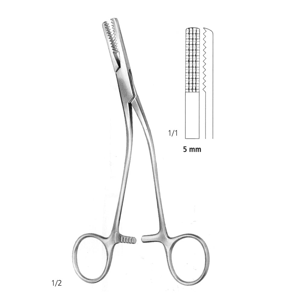 Tessier Bone Holding Forcep